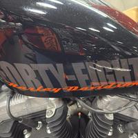 Harley forty eight