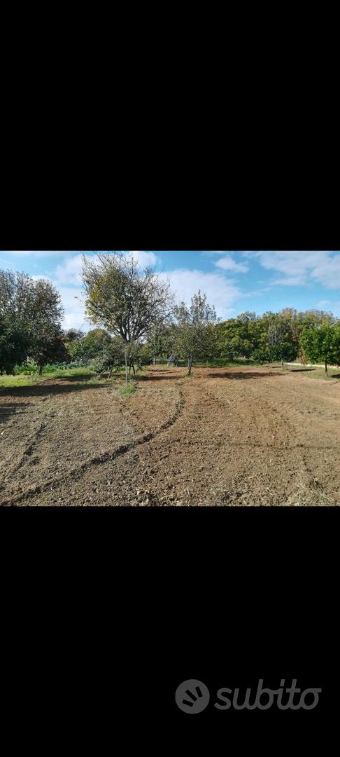 Terreno agricolo con casolare a Rende Isolette - Vista 3