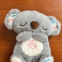 Koala che respira per dormire