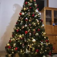 Albero Natale cm 240 Quercia del Gargano