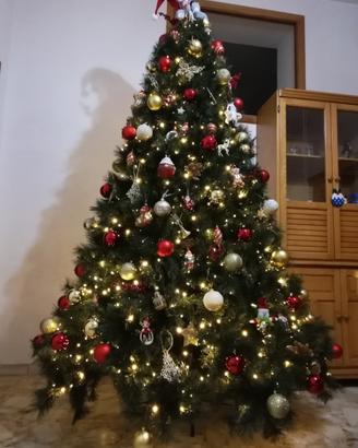 Albero Natale cm 240 Quercia del Gargano