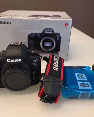 Canon EOS 6D Mk II