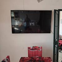  tv LG 65 pollici 
