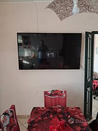  tv LG 65 pollici 