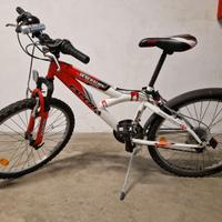 MTB Esperia Bicicletta bambino 24"