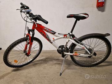 MTB Esperia Bicicletta bambino 24"
