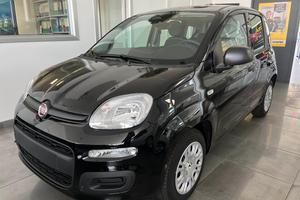 FIAT Panda 1.0 Hybrid/VARI COLORI/PRONTA CONSEGN