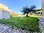 Immagine 14