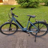 Bici elettrica - Big Handy ( taglia L )