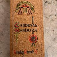 Cardenal Mendoza