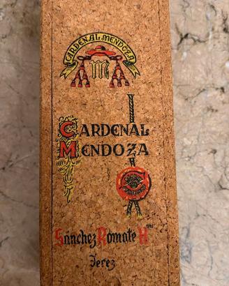Cardenal Mendoza