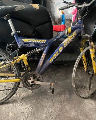 Bicicletta