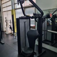 Lat machine Schwinn professionale