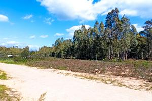 Terreno edificabile loc, Olia Speciosa, Castiadas