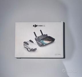 DJI mini se