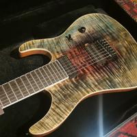 Chitarra 7 corde - Liuteria 