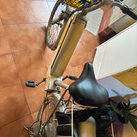 E bike