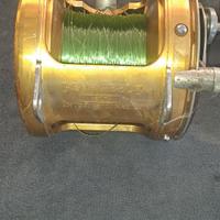 Mulinello Penn international