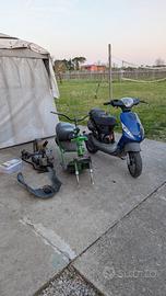 Lotto scooter piaggio