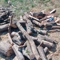 legna da ardere  -qualità superiore- leccio