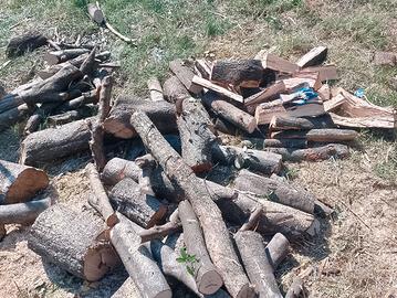 legna da ardere  -qualità superiore- leccio