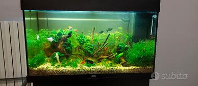 JUWEL RIO 125 LED completo di mobile