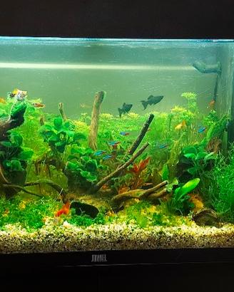 JUWEL RIO 125 LED completo di mobile