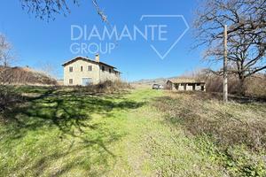 Azienda agricola con 24 Ha, casale e annessi