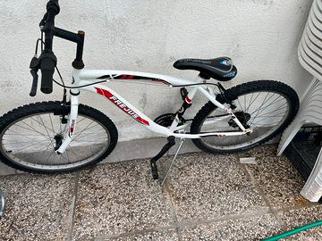 Bicicletta bambino 24