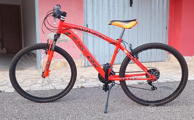 Montain Bike come nuova