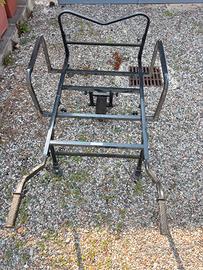 Carrello carp fishing