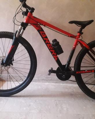 Bici Mountain bike