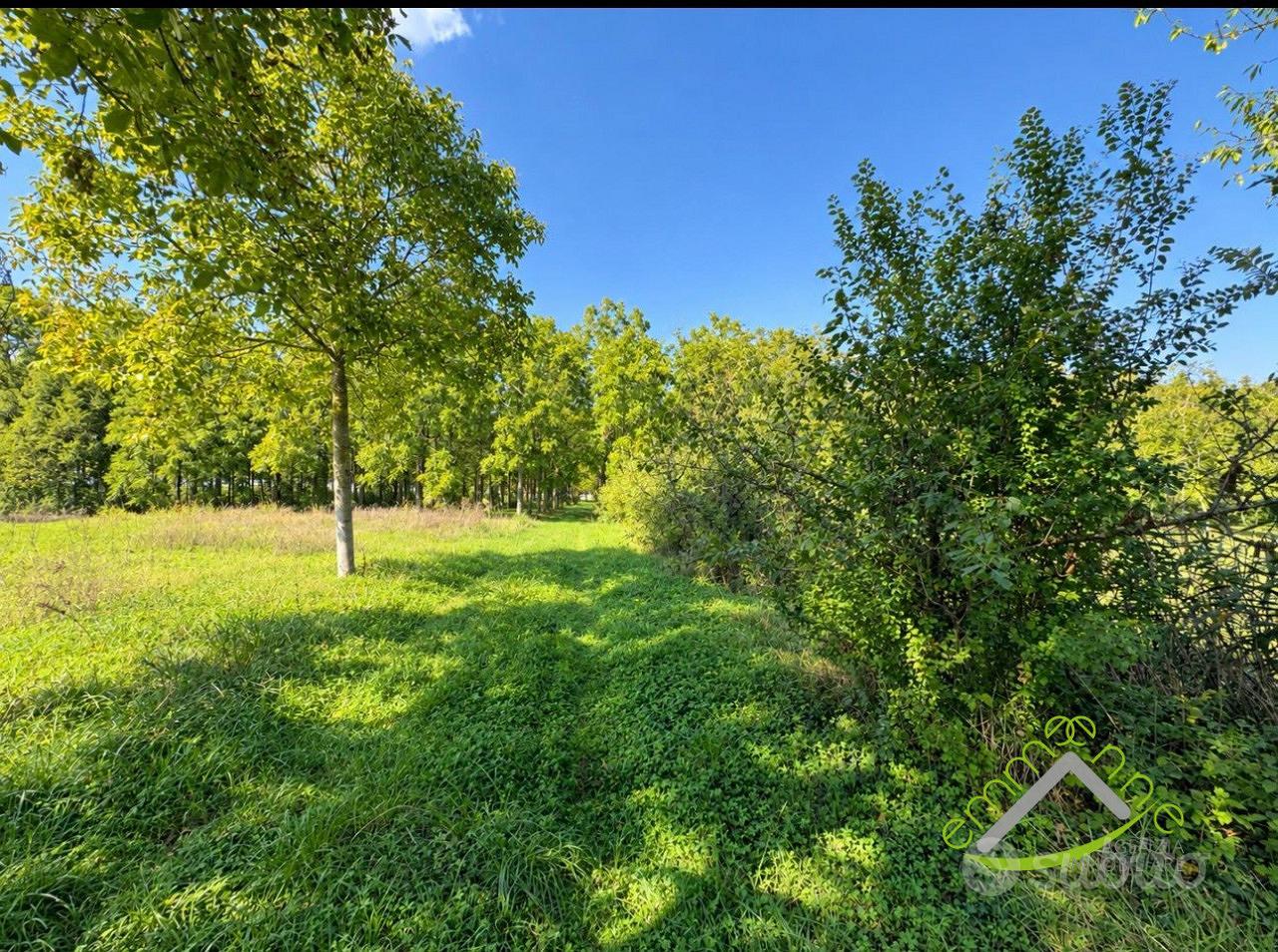 Terreno a Dolo (VE) - Sambruson - Vista 5