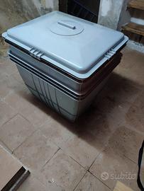 Vasca in pvc completa di coperchio e accessori