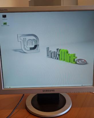 Samsung 19 pollici monitor VGA