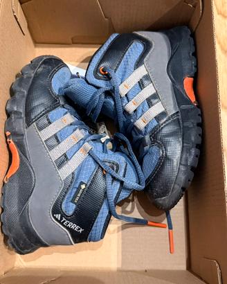Scarpe Terrex gore tex