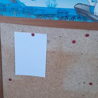 Disney Pocahontas bacheca