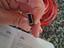 Immagine 5