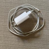 Caricabatterie originale Apple