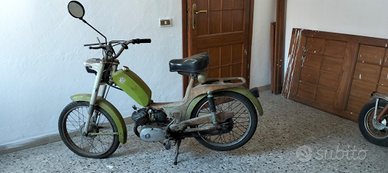 Motorino 50cc