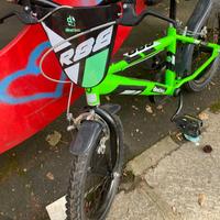 Dino Bikes 16