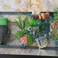 Acquario con pompa di reciclo