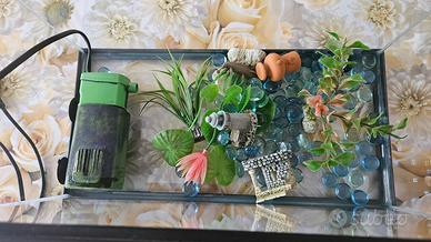 Acquario con pompa di reciclo