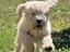 Immagine 2