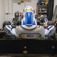 go kart kart repubblic rotax max