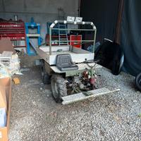 Fresia alpino mulo alpino