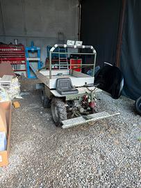 Fresia alpino mulo alpino