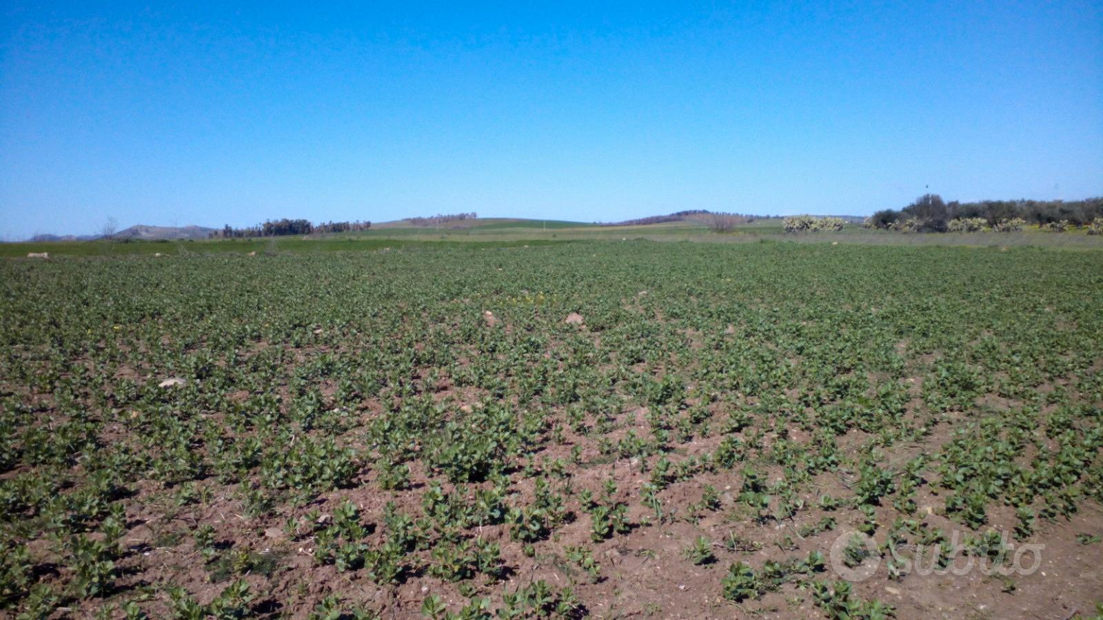 Monastir, terreno agricolo di 5340mq - Vista 3