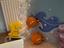 Immagine 2