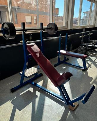 Panca inclinata technogym